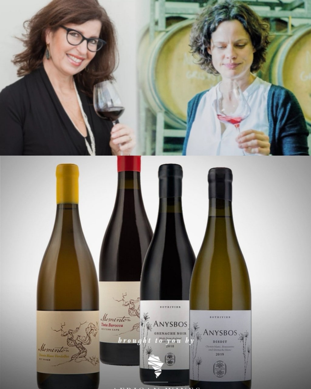 online proeverij Dutch Wine Sister meets Marelise Niemann - Momento WInes/ Anysbos